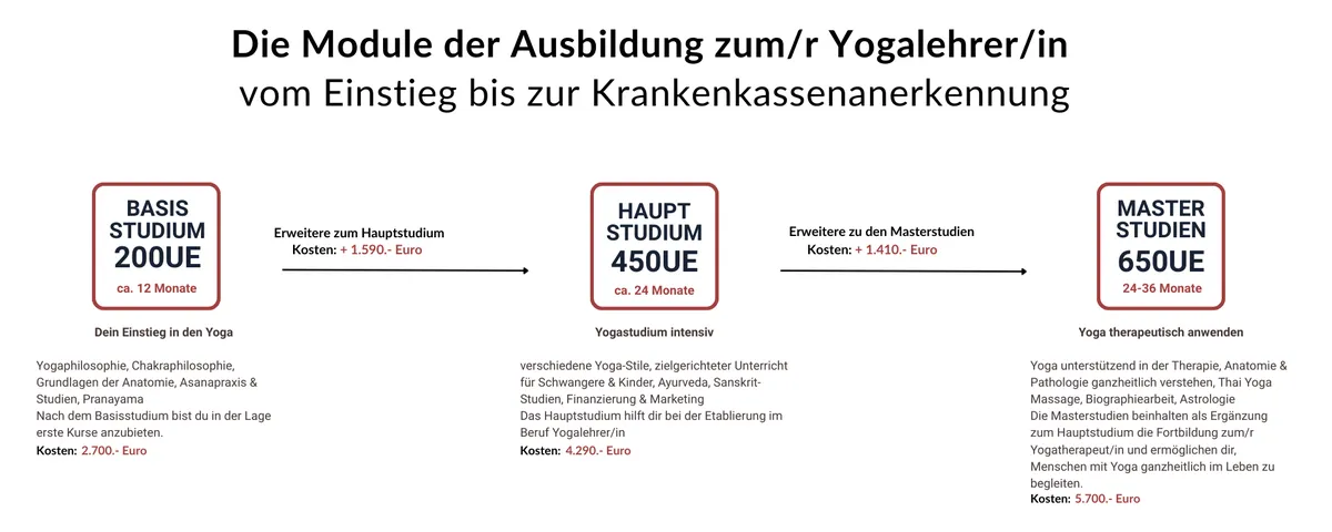 Ausbildungskonzept Schaubild